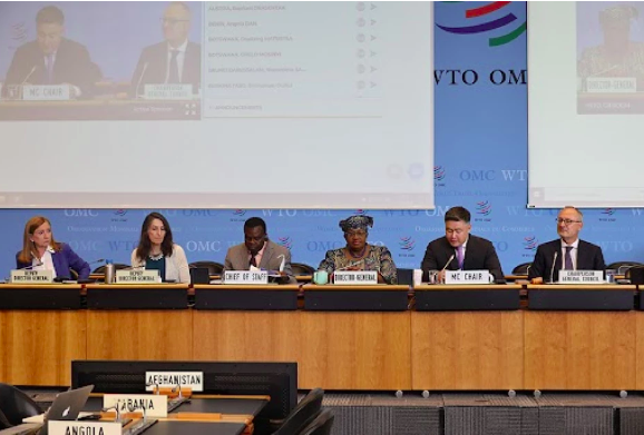 High Stakes For African Countries At The 12th WTO Ministerial Conference